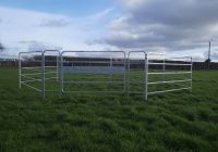 A low round pen with 5 rails for small horses and ponies