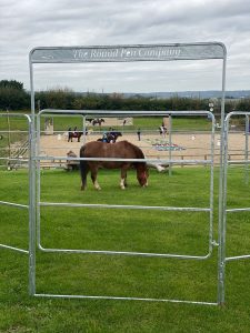 pony in a pen in the foreground of an arena
