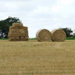 Different shapes of hay bales, round and square