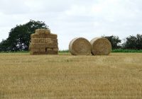Different shapes of hay bales, round and square