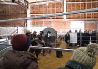 4 horse trainers in a round pen